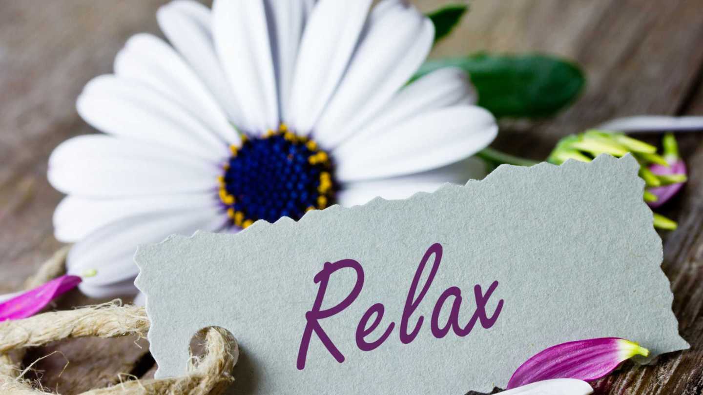 7 Must-Know Gauteng International Travel Tips from Raintree Guesthouse - Image 3