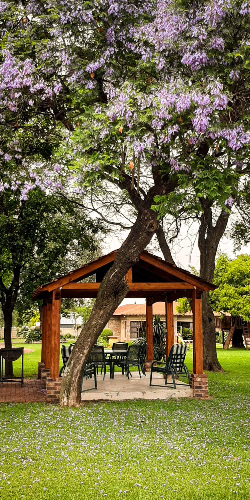 The Perfect Accommodation Near OR Tambo: Your Gateway to Comfort at Raintree Guesthouse - Image 3